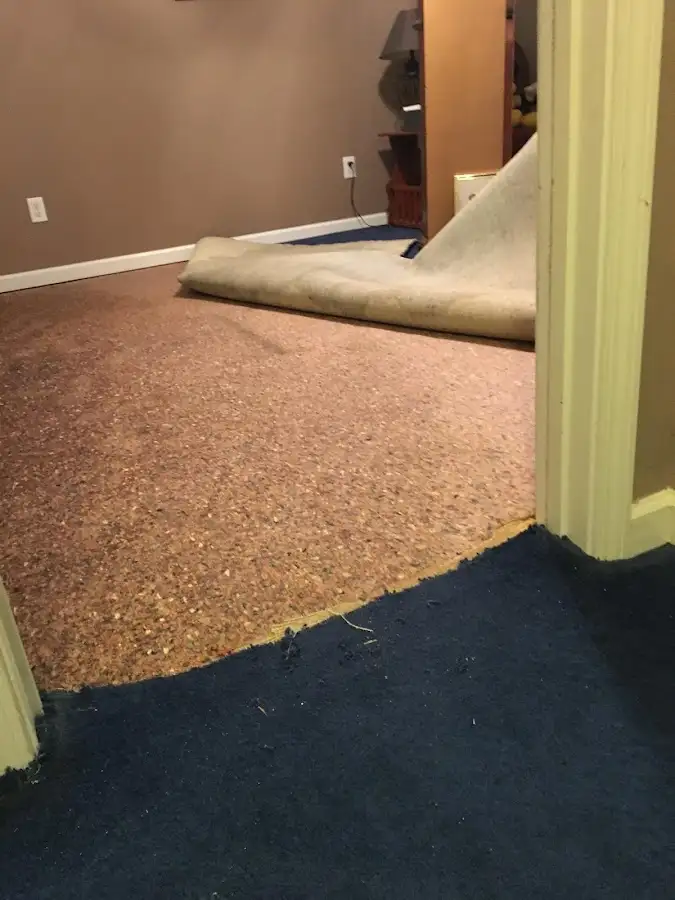 Carpet pad removal revealing water damage during Drying & Dehumidification in Port Salerno