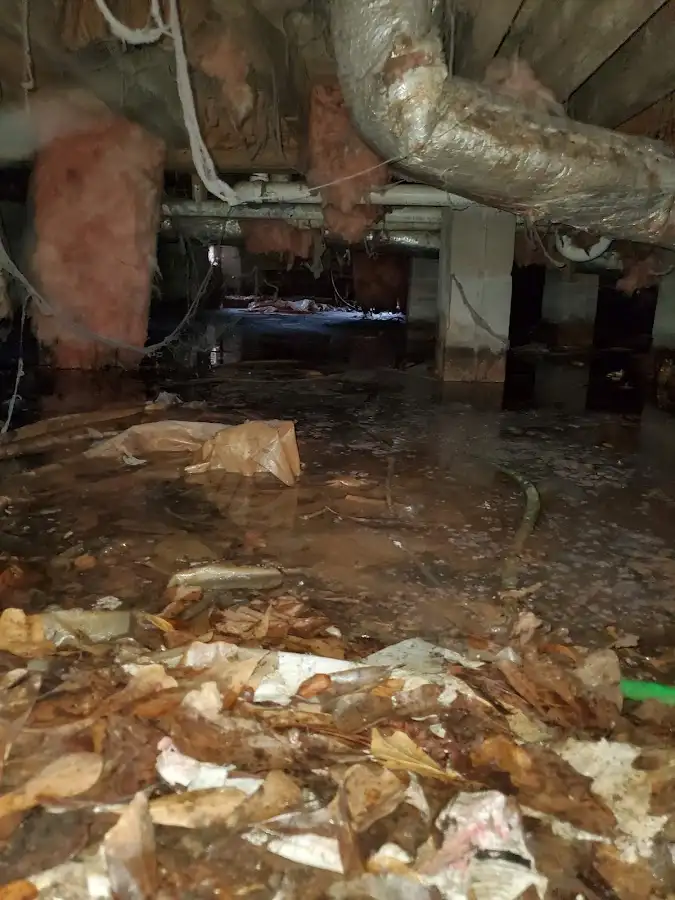 Crawl space flood assessment for Commercial Water Damage Restoration in Port Salerno