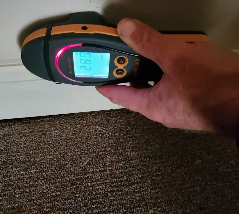 Moisture detection at baseboard during Burst Pipe Cleanup in Port Salerno